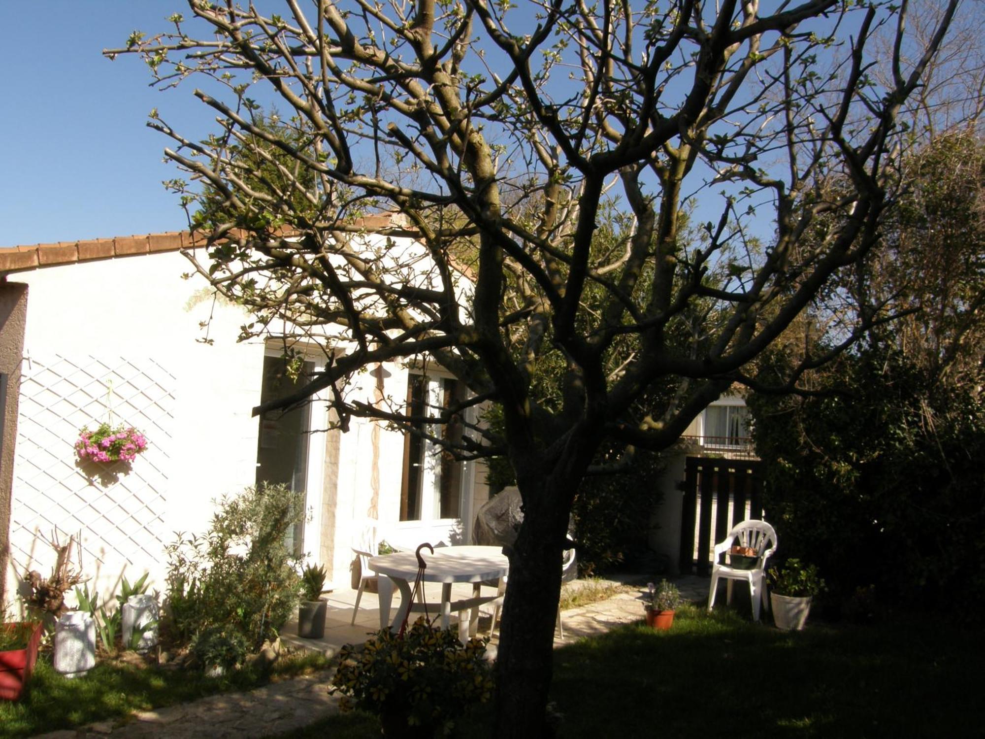Brig'Gite LʼIsle-sur-la-Sorgue Exterior foto